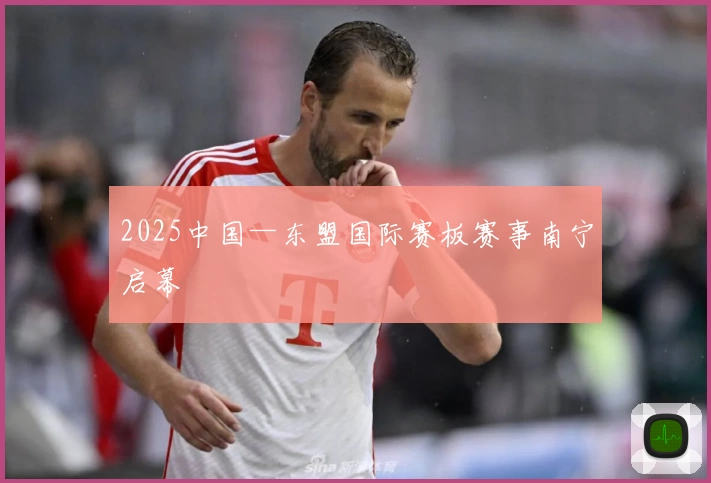 2025中国—东盟国际赛板赛事南宁启幕